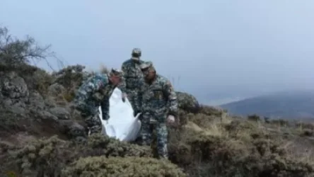 Դատաբժշկական փորձաքննության է ենթարկվել 2996 զոհված զինծառայողի մարմին. Ալինա Նիկողոսյան