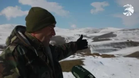 «Մեր 36 հեկտար պահուստային հողերը ադրբեջանցիները GPS-ով ասում են՝ մերն  է». «Զինուժ մեդիան» ռեպորտաժ է պատրաստել Արավուսից