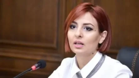 Ցանկացած նման միջադեպ կարող է վնաս հասցնել ՀՀ-ի միջազգային վարկանիշին. Անի Սամսոնյան