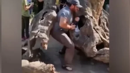 Հասկանո՞ւմ եք, որ ինչ որ չորացած ծառի համար անարգանքի սյունին եք գամել, հոգեկան տրավմաներ եք պատճառում զգացմունքներ, ապրումներ ու հույզեր ունեցող կենդանի մարդուն. Յաշա Սոլոմոնյան