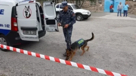 Գյումրու թիվ 15 դպրոցում աշխատում են կինոլոգները