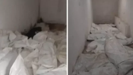 Աբովյանի դիահերձարանում զոհված զինծառայողների մարմինների դեպքով քրգործ չհարուցելու որոշման դեմ բողոքը մերժվել է