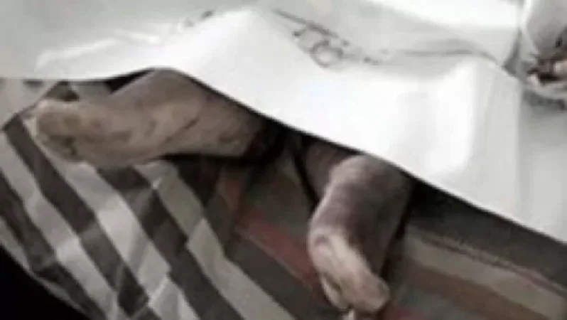 Մանրամասներ Ազատանում տեղի ունեցած հոր և որդու մահվան դեպքից