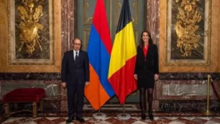 Հայաստանի և Բելգիայի ԱԳ նախարարները քննարկել են տարածաշրջանային անվտանգության և կայունության հարցեր