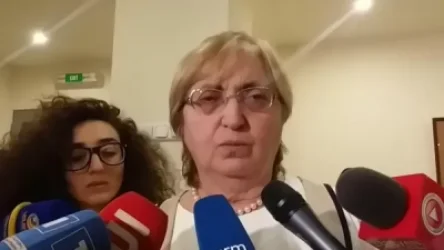 Ուղղակի որոշել ենք վարույթ չընդունել. Ալվինա Գյուլումյանը` ՍԴ որոշման մասին