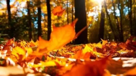 Առաջիկա օրերի եղանակը Հայաստանում