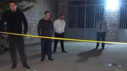 Գեղանիստում տեղի ունեցած սպանությունը բացահայտվել է (տեսանյութ)