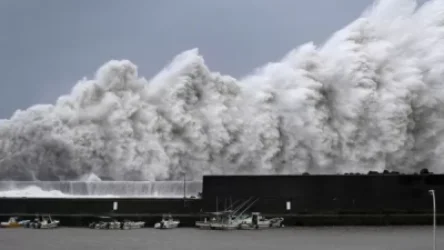 ՏԵՍԱՆՅՈՒԹ․ 61 զոհ՝ Ճապոնիայում թայֆունի հետևանքով