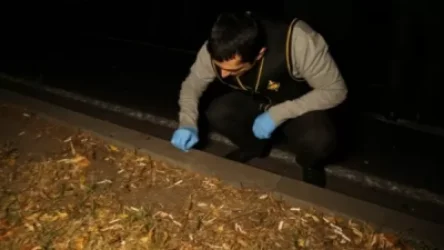 Ոստիկանների վրա հարձակվողները անչափահաս եղբայրներ են եղել