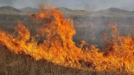 Այրվել է 30 հա խոտածածկույթ Ակունք գյուղի հարակից տարածքում