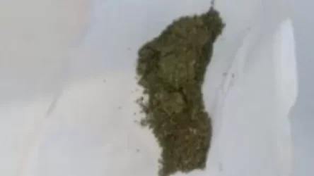 ՏԵՍԱՆՅՈՒԹ. Թմրամիջոց պահելու և իրացնելու կասկածանքով բերման են ենթարկվել 3 քաղաքացի