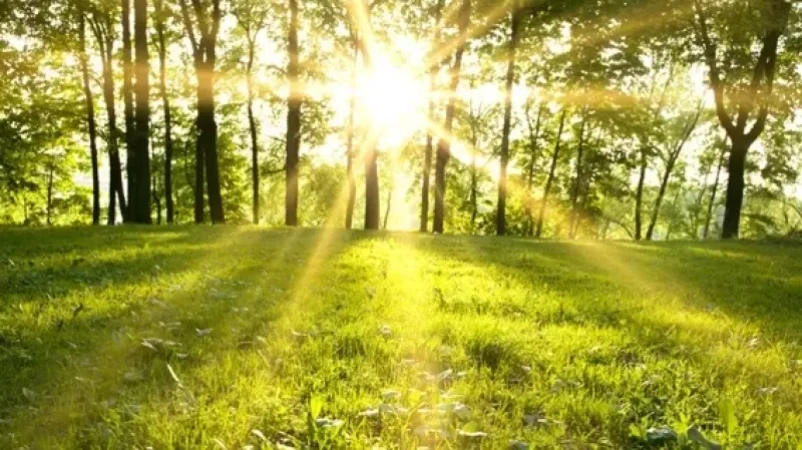 Օդի ջերմաստիճանը աստիճանաբար կբարձրանա 8-10 աստիճանով