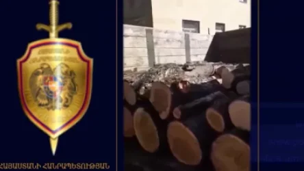 Ոստիկանները ապօրինի ծառահատման դեպք են բացահայտել