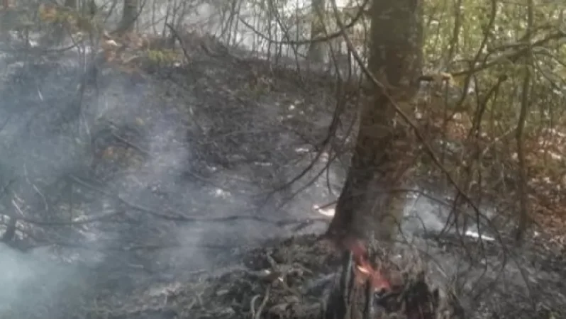 Հրդեհ «Դիլիջան ազգային պարկ» ՊՈԱԿ-ի տարածքում