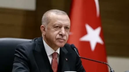 Սիրիայի և Թուրքիայի սահմանին անվտանգության գոտին ձգվում է 440 կմ