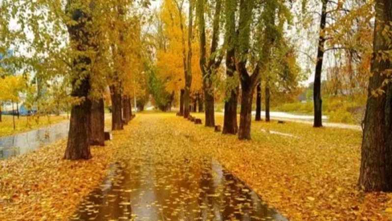 Հայաստանում եղանակը կցրտի. սպասվում է անձրև և ամպրոպ