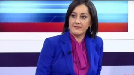 Մերժվել է Անժելա Թովմասյանի նկատմամբ պաշտպանական միջոցներ ձեռնարկելու վերաբերյալ փաստաբանի դիմումը. «Փաստինֆո»