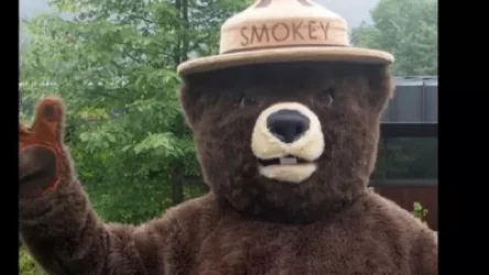 Անտառային հրդեհների դեմ պայքարող Սմոքի արջը կայցելի Հայաստան