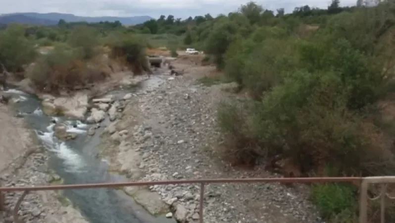 Խաչենագետի ջրամբարի ափամերձ հատվածում ձկների անկման պատճառները