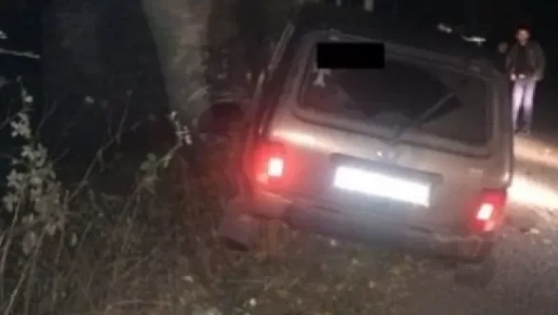 Տավուշում «Նիվան» բախվել է ծառին