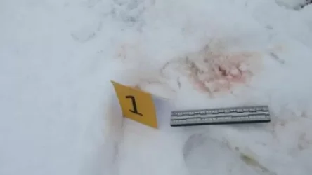 Ոսկեհասկ գյուղի բնակիչներին դանակահարած երիտասարդը կալանավորվել է