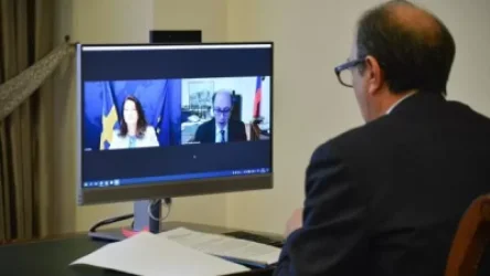 Տեսազրույց Հայաստանի և Շվեդիայի արտաքին գործերի նախարարների միջև