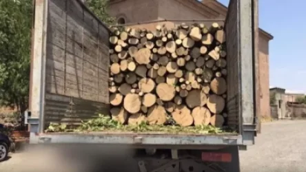 Ապօրինի ծառահատման դեպքերն ավելացել են (տեսանյութ)