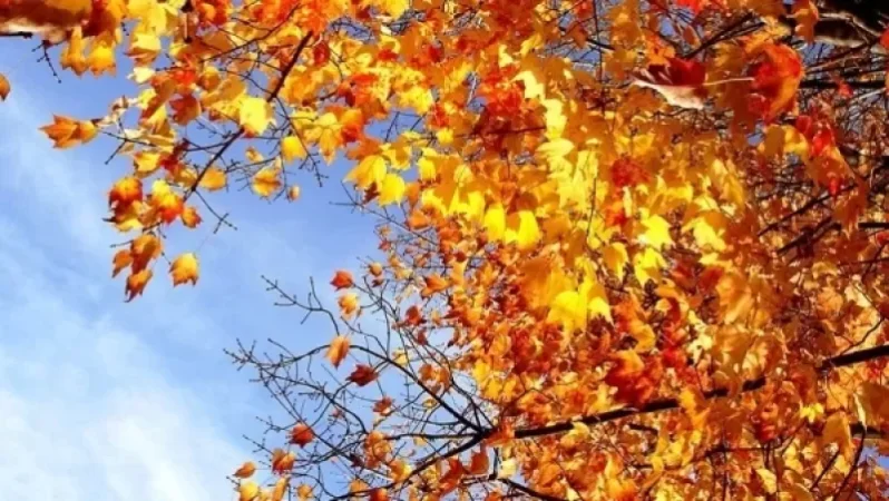 Առաջիկա օրերի եղանակը Հայաստանում