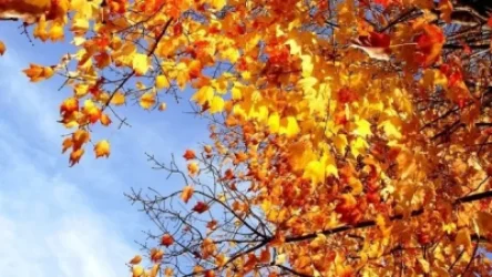 Առաջիկա օրերի եղանակը Հայաստանում