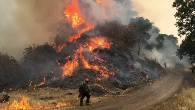 Breaking: Rescuer Dies Due to Fire in Mountains Near Vanadzor