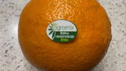 Ադրբեջանական պիտակներով  կամ Ադրբեջանի համար նարինջներն ինչպե՞ս են հայտնվել Հայաստանում. ԱՀԱԶԱՆԳ