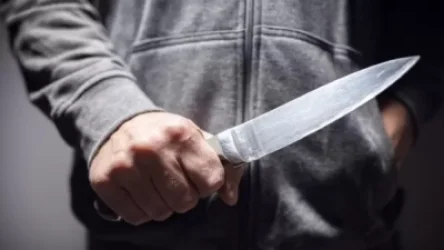 Վարդաշեն փողոցում կնոջ սպանության գործով մեղադրանք է առաջադրվել 40-ամյա հարևանին. ՔԿ