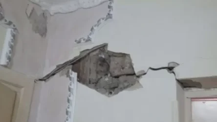 ՏԵՍԱՆՅՈՒԹ. Արզումանյան10 հասցեի բնակիչները ահազանգում են