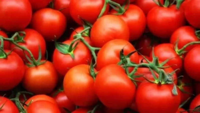 Ռոսպոտրեբնադզորը չեղարկում է ադրբեջանական 12 ձեռնարկությունների համար լոլիկ մատակարարելու արգելքը