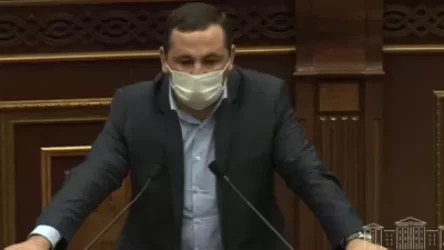 ՏԵՍԱՆՅՈՒԹ. Քուչից բերած լակոտի ամբիոն են տրամադրում, 2 բաժակ էլ խմացնում, որ արտահայտություններ անի մեր մասին. պատգամավոր