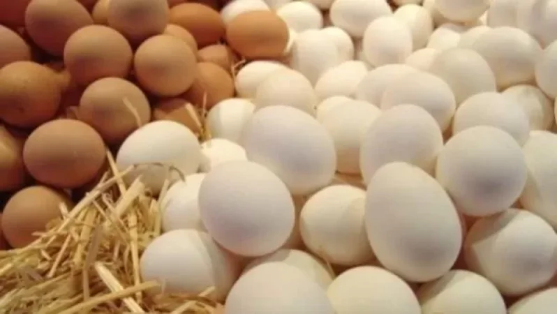 Ձվի իրացման ոլորտի 7 խոշոր ընկերությունների նկատմամբ տուգանք է կիրառվել