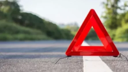 Երեւան-Մեղրի ճանապարհին խոշոր եղջերավոր կենդանիներով բեռնված «ԶԻԼ»-ը մոտ 70 մետր գլորվել է ձորը