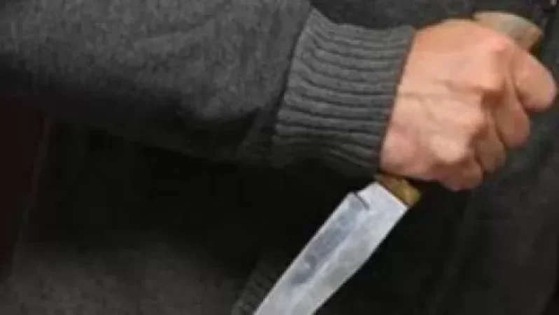 Շներին իր բակից հանելու հարցով վեճի ժամանակ 74-ամյա վանաձորցին դանակահարել է համաքաղաքացուն