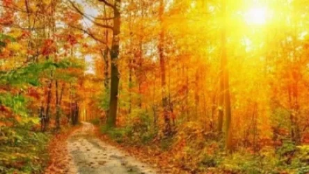 Թարմացված․ առաջիկա օրերի եղանակը Հայաստանում