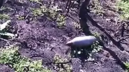 ՏԵՍԱՆՅՈՒԹ. Սյունիքում ճանապարհին հայտնաբերվել է հրանոթի արկ