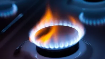 Գազի սակագնի մասին  բանակցությունները շարունակվում են. փոխվարչապետ