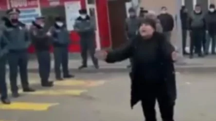 ՏԵՍԱՆՅՈՒԹ. «Թալանչի շներ, ես ձեր...»․ վարչապետ Փաշինյանի կողմնակից