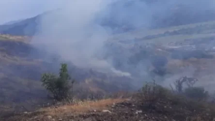 Լերմոնտովո համայնքի հանդիպակաց սարալաջին բռնկված հրդեհը մեկուսացվել է