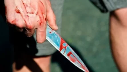 Կոտայքի ոստիկանները թարմ հետքերով բացահայտեցին դանակահարության դեպքը