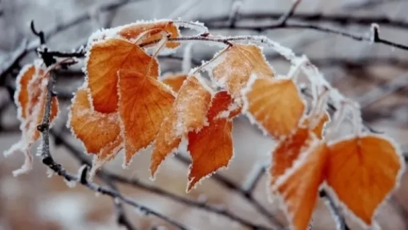 Ջերմաստիճանը կտրուկ կնվազի․ առաջիկա օրերի եղանակը