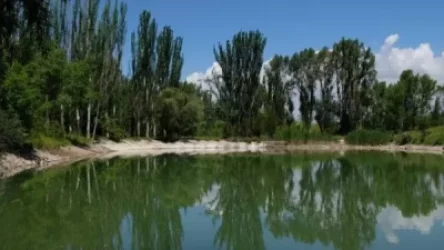 «Ջրվեժ» անտառպարկի տարածք մուտքը և բոլոր վճարովի ծառայությունները կդառնան անվճար