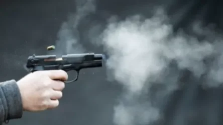 Քոլեջում կրակոցների շարժառիթը աղջկա բռնաբարության համար վրե՞ժն է եղել