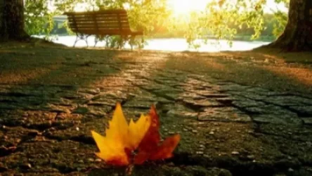 Եղանակ. օդի ջերմաստիճանը կբարձրանա