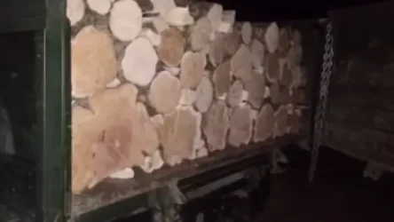 ՏԵՍԱՆՅՈՒԹ. Իջևանում ապօրինի փայտանյութով բեռնատարներ են հայտնաբերվել