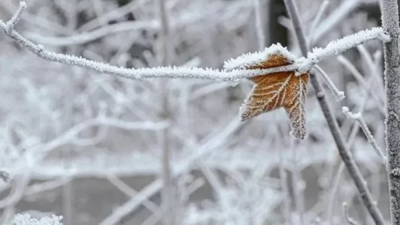 Ինչ եղանակ է սպասվում առաջիկա օրերին